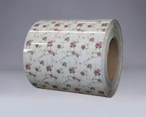 DX51D DX52D DX53D PPGI PPGL COIL CRUACH